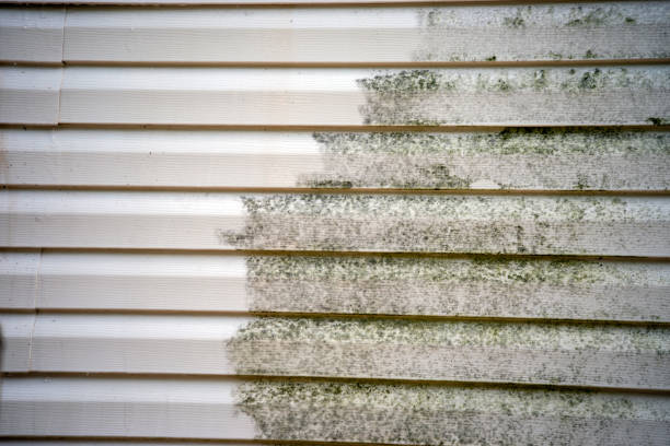 Best Demolition Debris Removal  in Blakely, PA